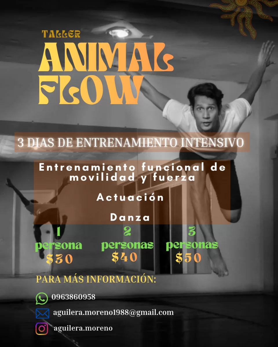 Taller de entrenamiento físico Animal Flow