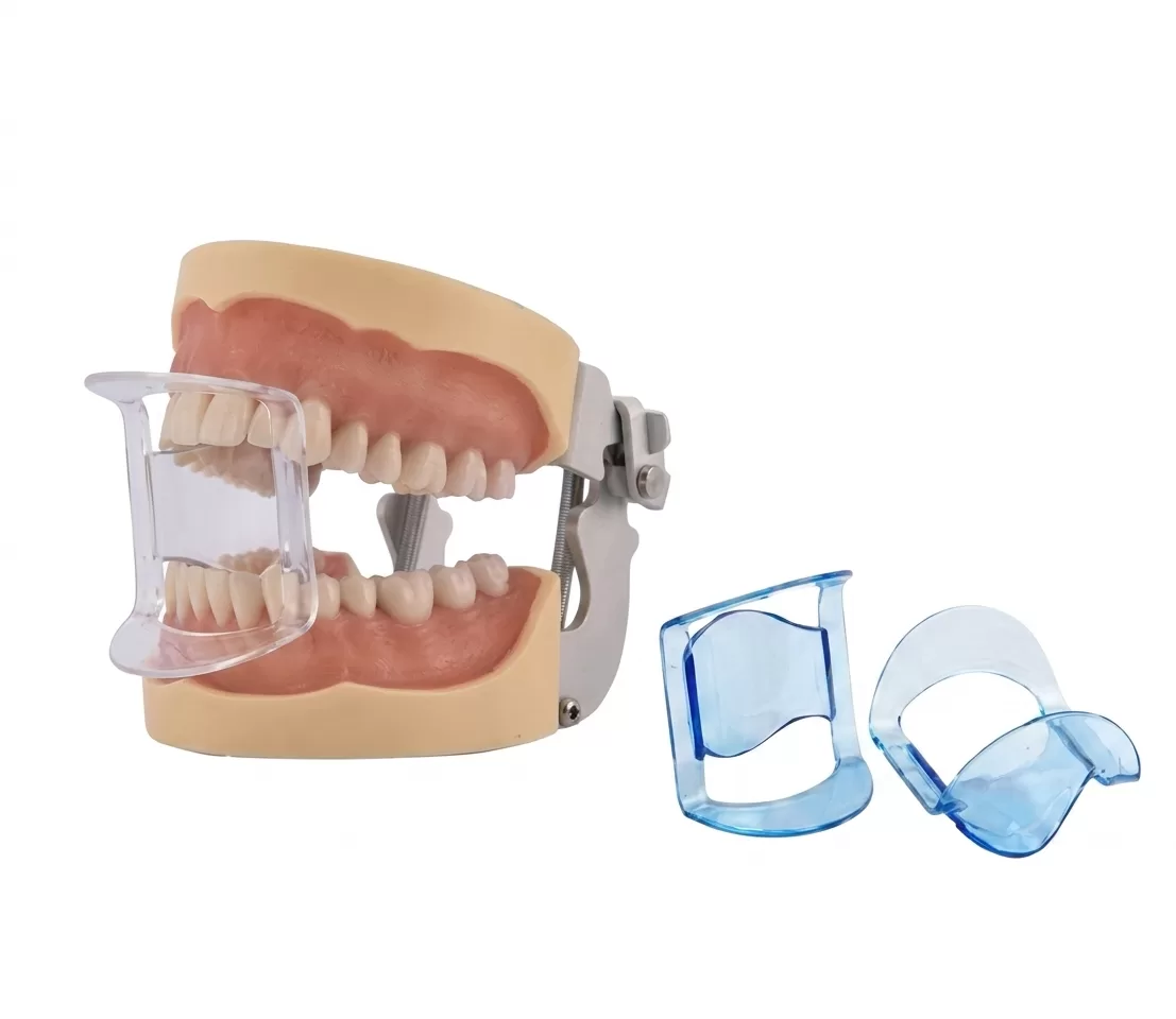 ABREBOCAS ANTERIOR