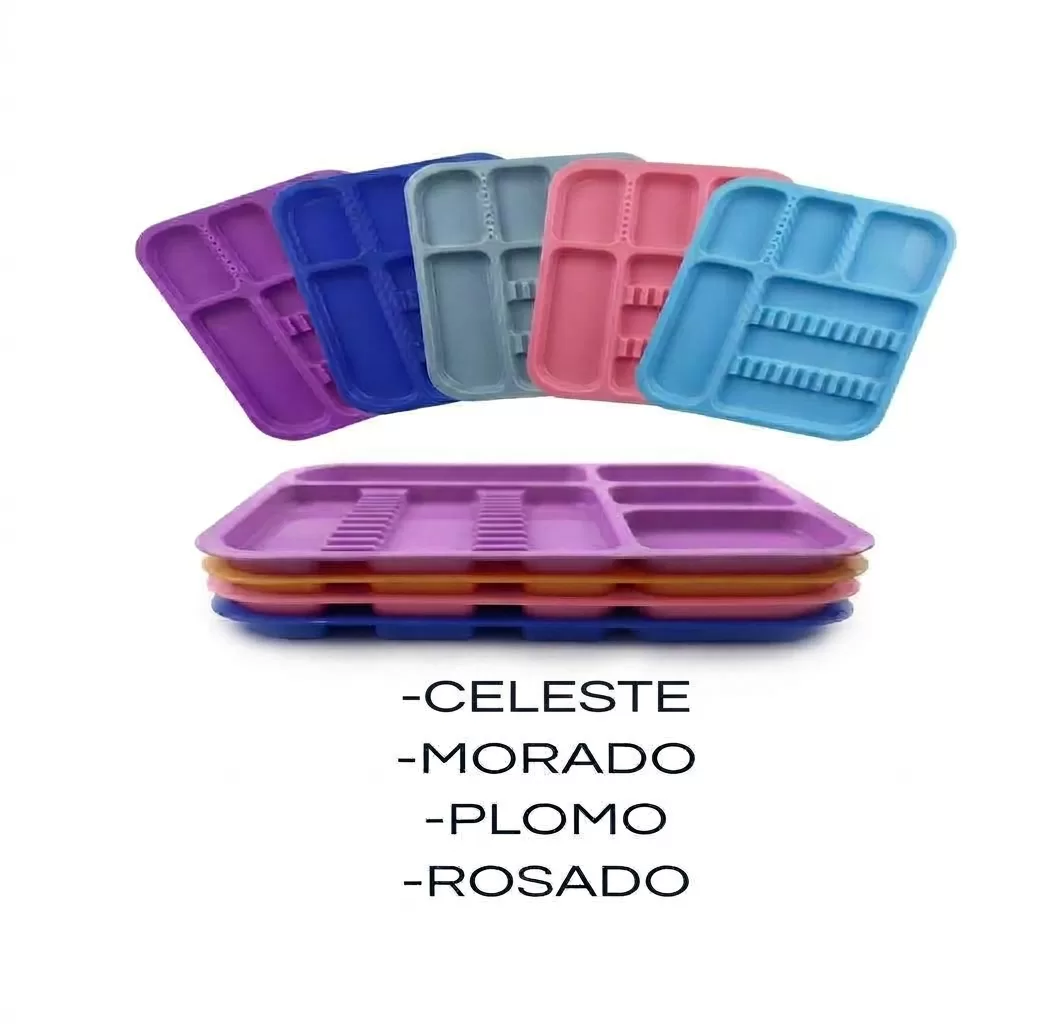 BANDEJA PLASTICA PORTA INSTRUMENTAL