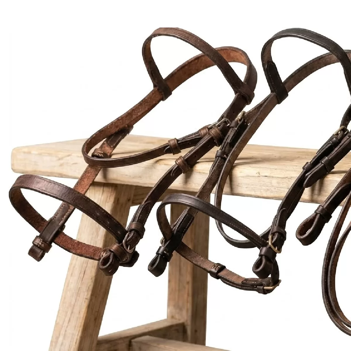 Freno para caballo